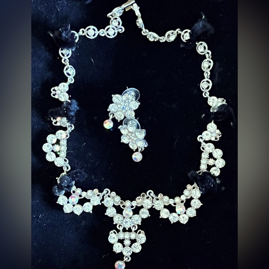 Brand New Necklace And Earring Accessories Set